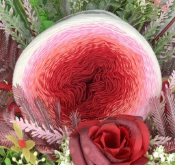 Rosegarden 304 bordó, červená, lososová, růžová, smetanová