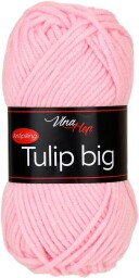 Tulip big 4026 sv.losos