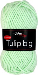 Tulip big 4158 zelenkavá