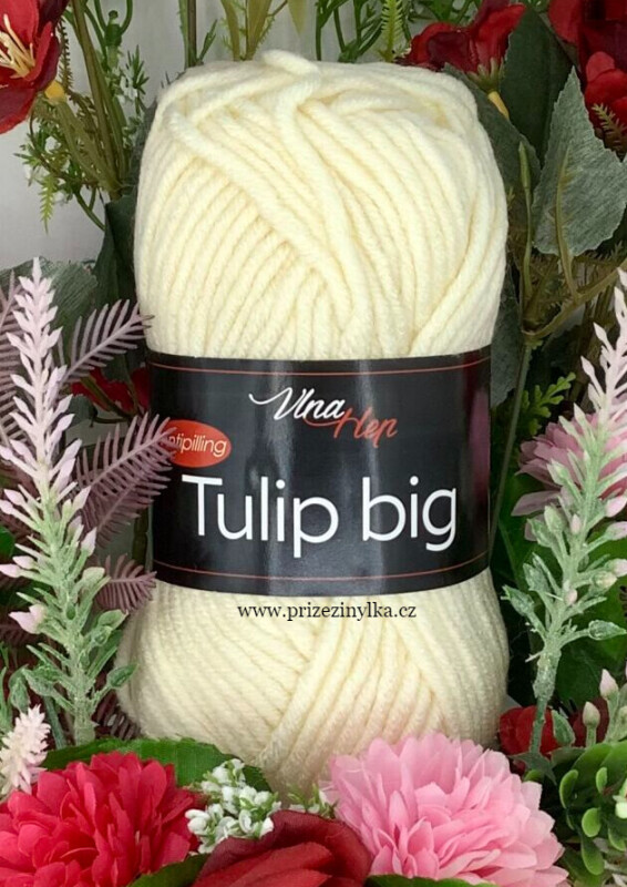 Tulip big 4172 smetana