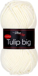 Tulip big 4172 smetana